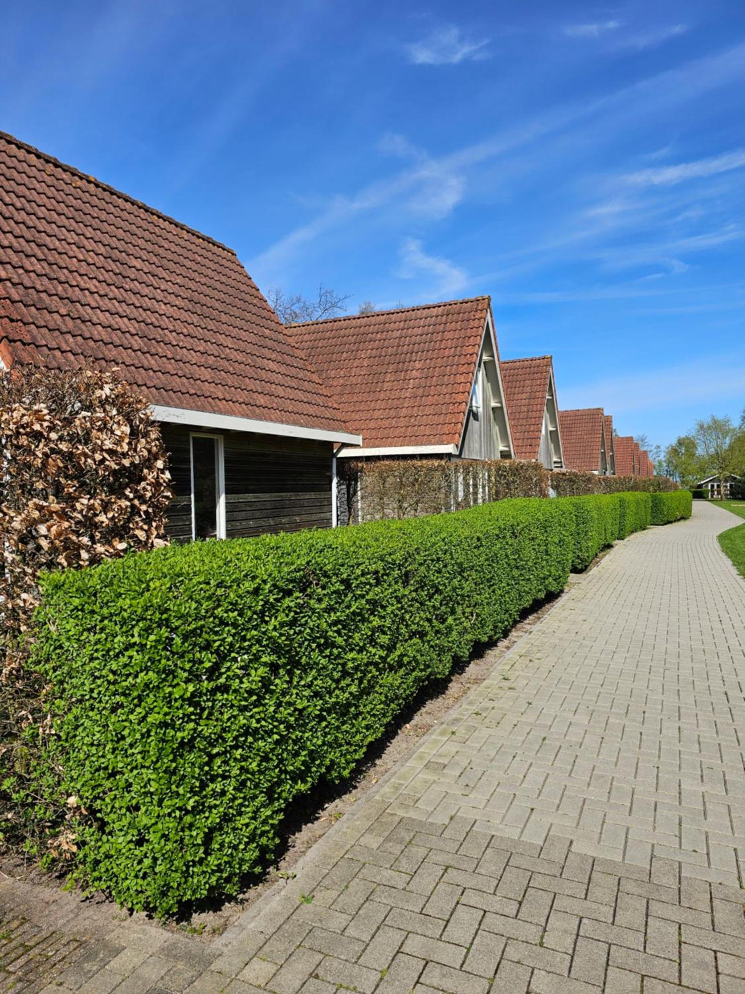 Eureka Vakantiehuisjes Schoorl Exterior foto